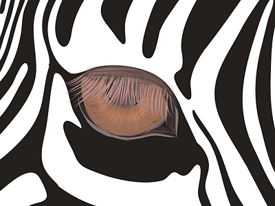 Beauty of Zebra art artwork clean design dribbble graphicdesign illustration illustrations minimal procreate procreateapp zebra