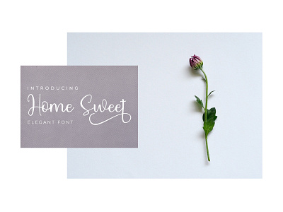 Home Sweet | Font branding clean design font fresh graphic design