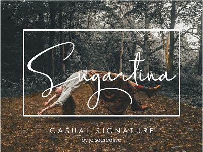 Sugartina Signature Font font logo script font signature signature font sweet font