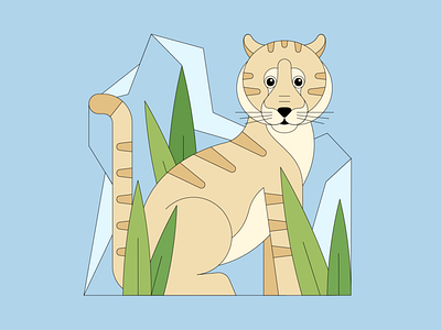 WildlifeTrade Animals Dribbble Tiger