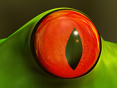Frog Eye 3d animal c4d eye frog