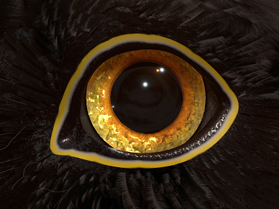Bird Eye