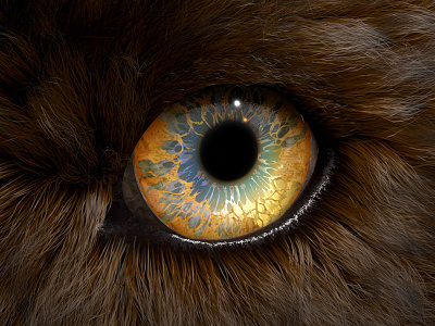 Beast 3d animal c4d eye