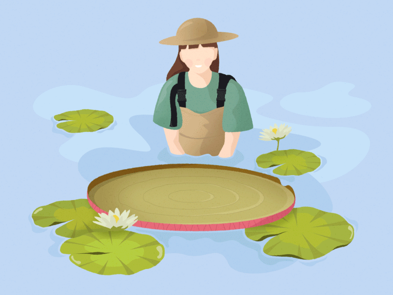 Li'l botanist in a lily pad pond animation character illustration lily