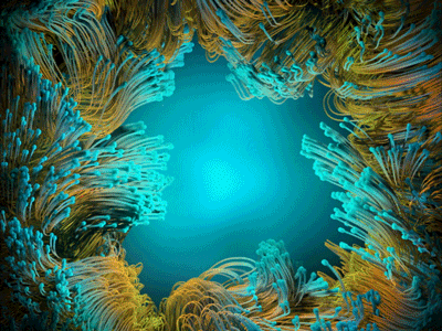 Anemone anemone c4d fish sea