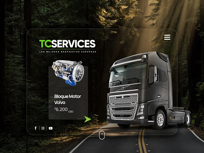 TCSSERVICES branding design elementor photoshop ui ux webdesign