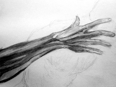 Arm Study anatomy illustration pencil sketch