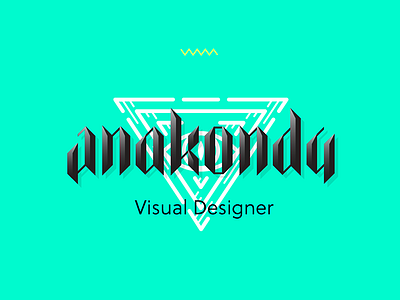 Portfolio out anakonda designer portfolio
