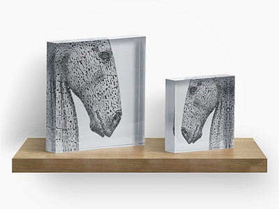 The Kelpies Sculpture - acrylic blocks art black and white interior decor photography print scotland sculpture