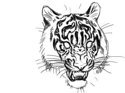 whiskers animal cat character art digital 2d flat graphic icon photoshop sketch t shirt graphic tiger tiger illustration tigers