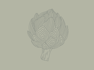 Artichoke illustration