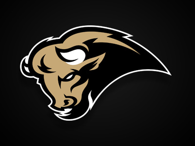 Bison bison buffalo graphic logo logodesign logosport sport