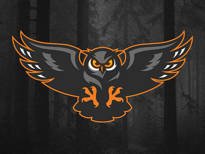 Owl attack bird grand duc hibou logo logo design owl sports logo