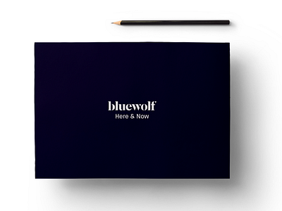 Bluewolf Here & Now Branding Guidelines Book branding visual design