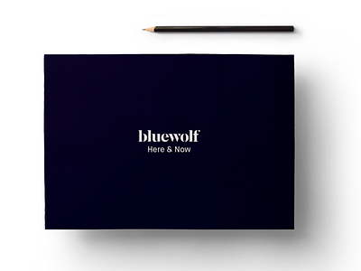 Bluewolf Here & Now Branding Guidelines Book