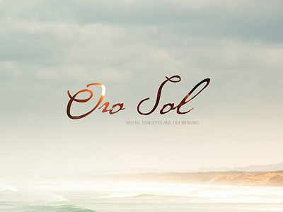 Oro Sol Spacial Concepts Presentation branding branding design