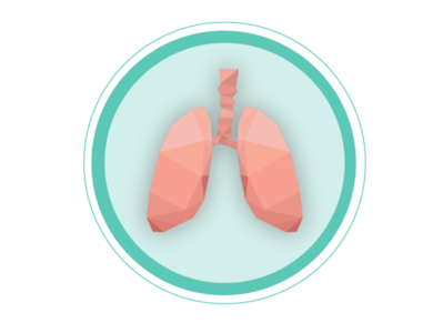 Lungs Illustration healthcare medical