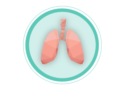 Lungs Illustration