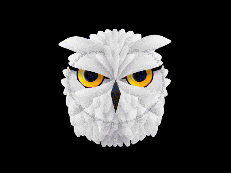 Owl 2d aftereffects animation character animation flat gif illustration loop motion owl spirit animal vector