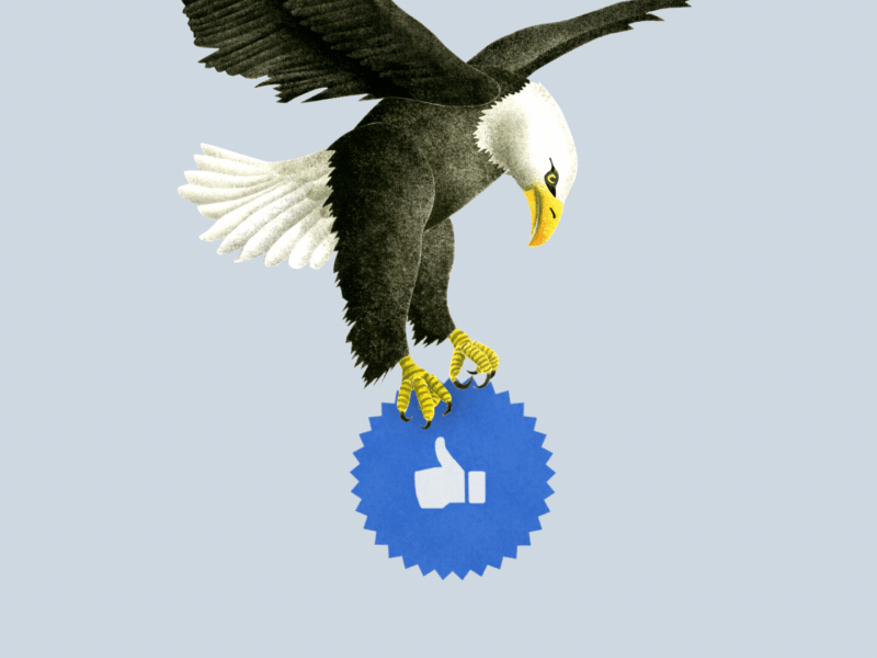 Behance like button 2d aftereffects animation ar augmented reality book character eagle gif illustration like button motion