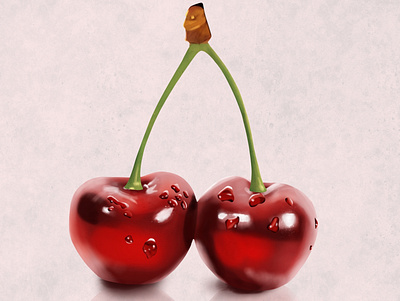 Realistic Cherries cherries cherry digital art digital artist droplets irish irish illustration procreate procreate app procreate art procreateapp procreateart realism red stalk water water drops