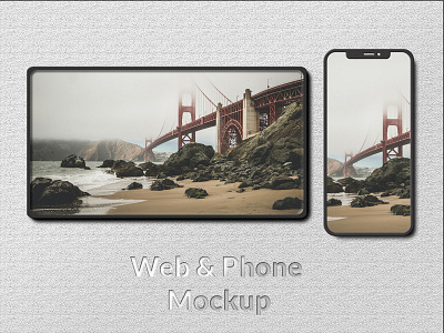 Web and phone mockup