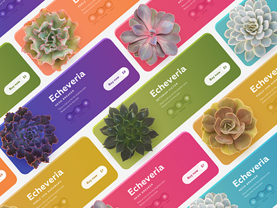 Block with goods for succulents store bright color coloful design interaction design ui ux ux ui