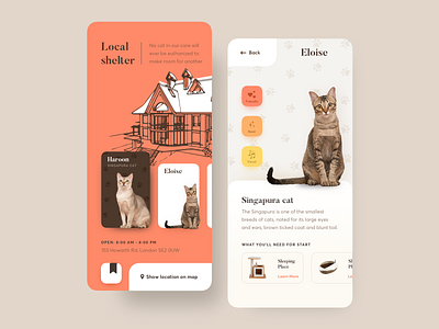 Adopt a cat app branding bright color cat clean concept design minimal mobile sketch typogaphy ui uiux ux vector web