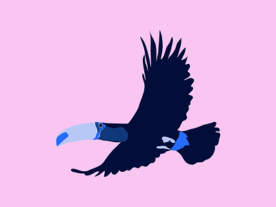 Blue Toucan animal bird blue illustration toucan tropical
