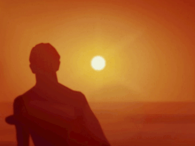 Endless Summer animation golden hour greensock gsap motion ocean sun sunset surf surfboard surfer svg