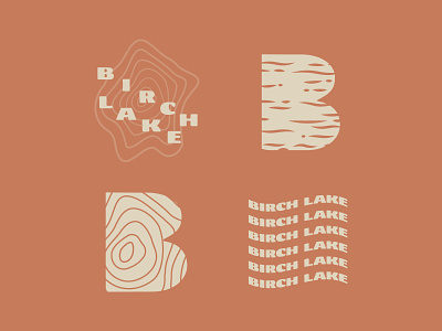 Birch Lake birch illustration lake logo minimal minnesota pattern simplistic tree typography