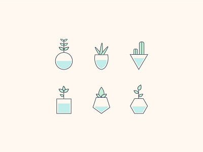 Plant Friends illustration plants simple succulents vase