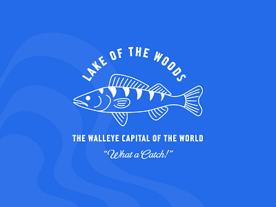 Walleye designs, themes, templates and downloadable graphic elements on  Dribbble
