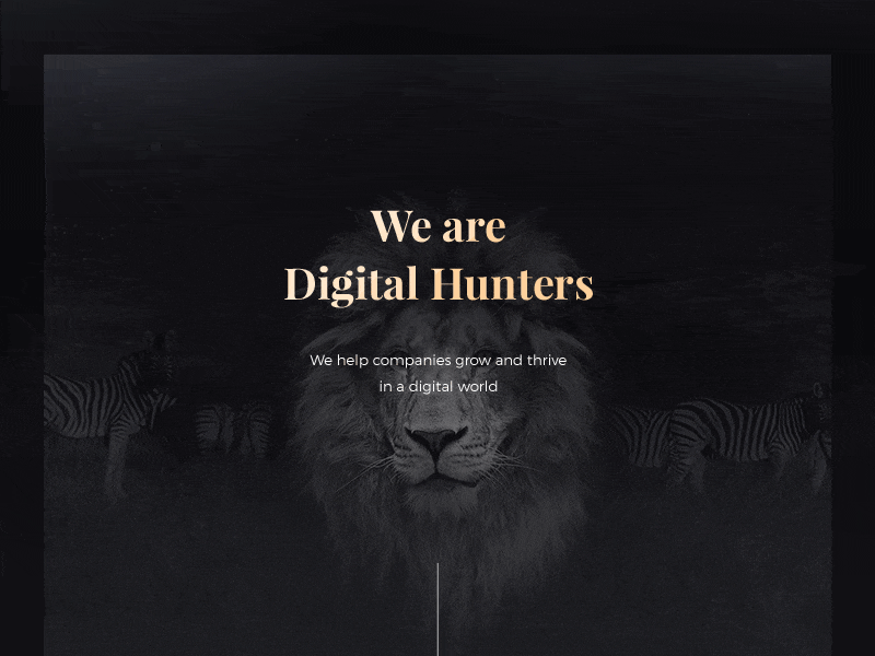Leor - page transition animal animation dark design gif lion one page roar site ui website zebra