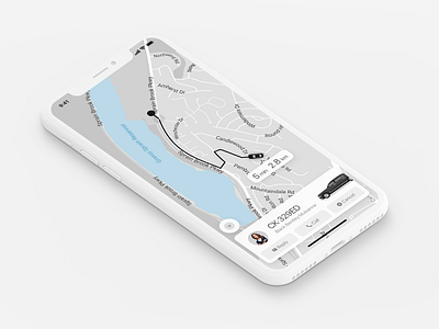 Travel APP - Publish the order page car illustrator map order travel