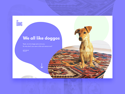 02/30 Dog Rescue Website adobe photoshop adobe xd design dog dogs home home page homepage interface landing landing page page rescue ui user interface web xd