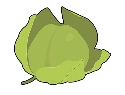 Tomatillo color illustration lineart mexican mexican food texas texmex tomatillo