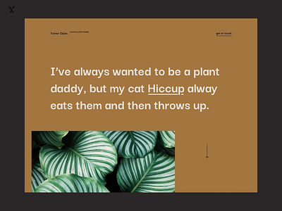 Plant S.O.S – Turner for Plant Daddy landing page plant plant daddy send help ux ux design web design website