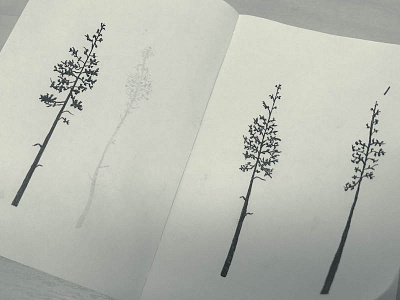 Sketches of trees