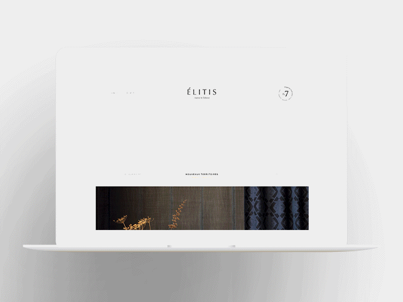 Elitis Magazine Homepage editorial design uiux design webdesign