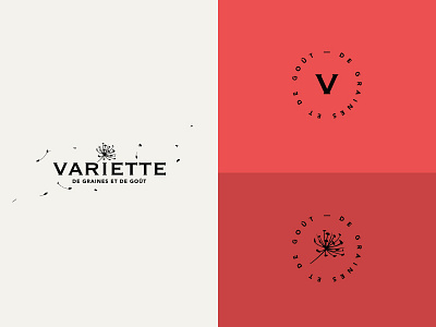 Variette Branding branding logo