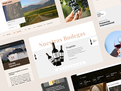 Wine: Company Website company ui website wine