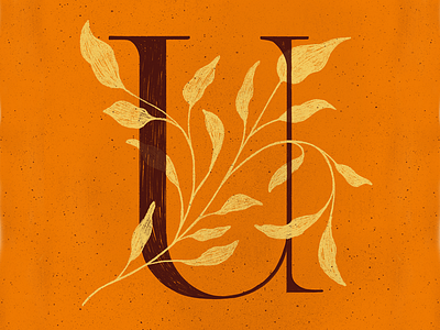 U 36daysoftype illustration lettering plants procreate procreateapp texture type typography