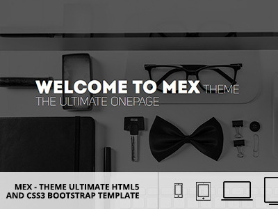 MEX Minimal Multipurpose Theme clean creative fullscreen minimal minimalistic modern one page parallax portfolio process timeline unique