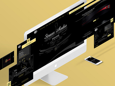 HIGH END amplifiers amplifiers design graphic graphicdesign music pielachpawel poland ui ui design ux web webdesign