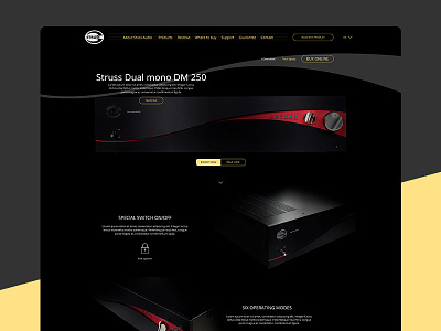 Struss Audio website amplifier black design gold graphic pielachpawel ui ux web webdesign website