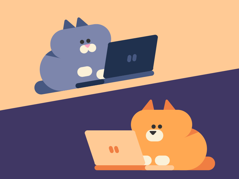 Chat online cat chat dog flat laptop online