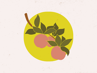 Sketch apple icon apple illustration design farmers market illustration retro design