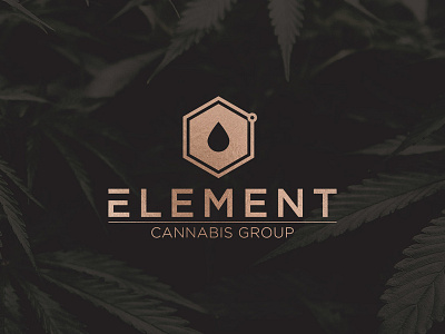Element Cannabis Logo Design branding cannabis design foil logo