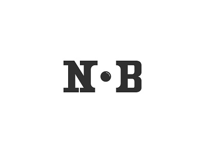 NB camera logo